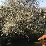 Hungaria Vendeghaz 3*