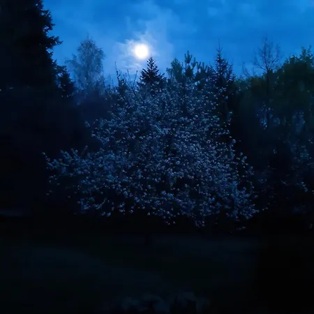 Hungaria Vendeghaz Гостевой дом