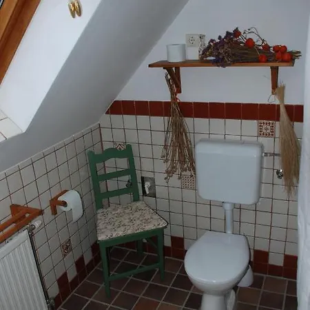 Pensionat Hungaria Vendeghaz *