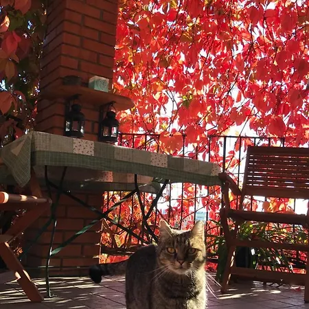 Гостевой дом Hungaria Vendeghaz