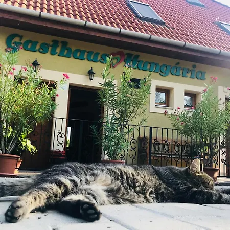 Hungaria Vendeghaz Гостевой дом 3*