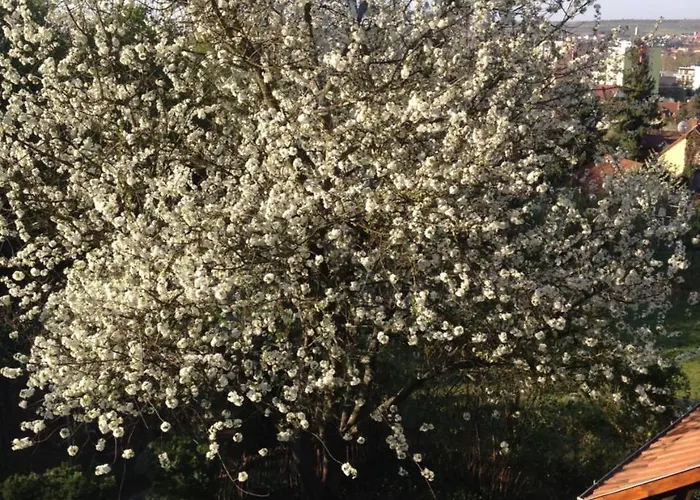 Hungaria Vendeghaz 3*