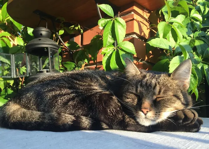 Guest house Hungaria Vendeghaz 3*