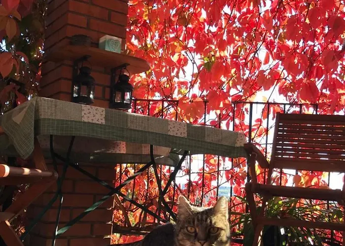 Guest house Hungaria Vendeghaz