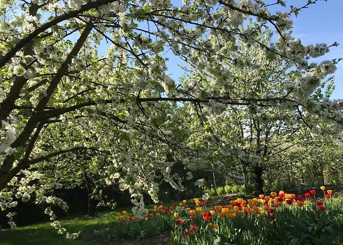 Guest house Hungaria Vendeghaz