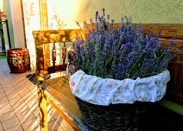 Hungaria Vendeghaz Eger