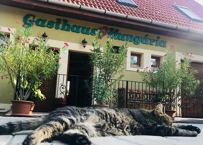 Hungaria Vendeghaz Guest house 3*